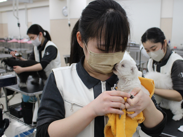 夜間部2年生、子犬のお世話♪